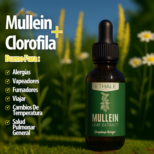 Mullein Gotas Limpieza Pulmonar Respirar