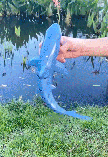 Diversión Acuática Ilimitada