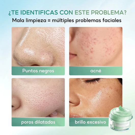 Papa Feel Mascarilla Facial Mugwort 55g Control Acné
